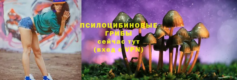 Галлюциногенные грибы Cubensis  площадка формула  Соликамск  купить наркотики сайты  МЕГА как зайти 